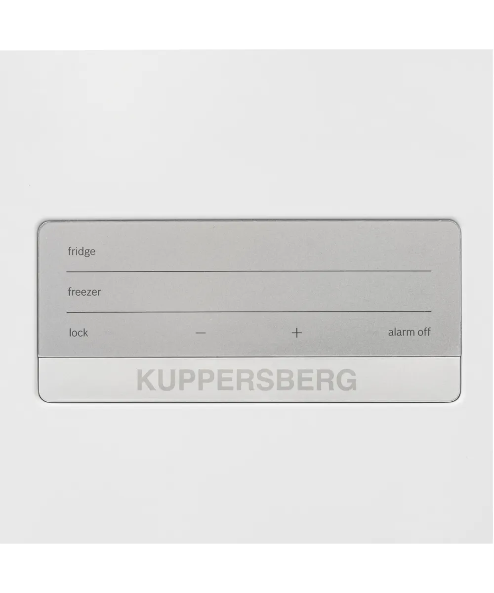 Холодильник отдельностоящий RFCN 2010 W - фото 7