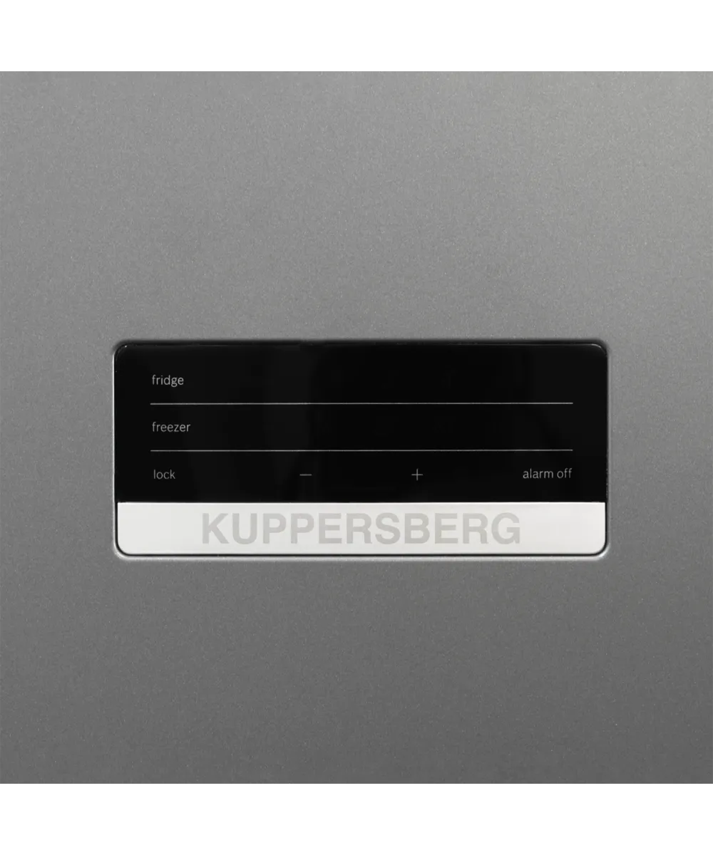 Холодильник отдельностоящий RFCN 2010 DX - фото 4