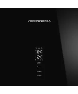 Холодильник отдельностоящий RFCN 2013 BG - минифото 6